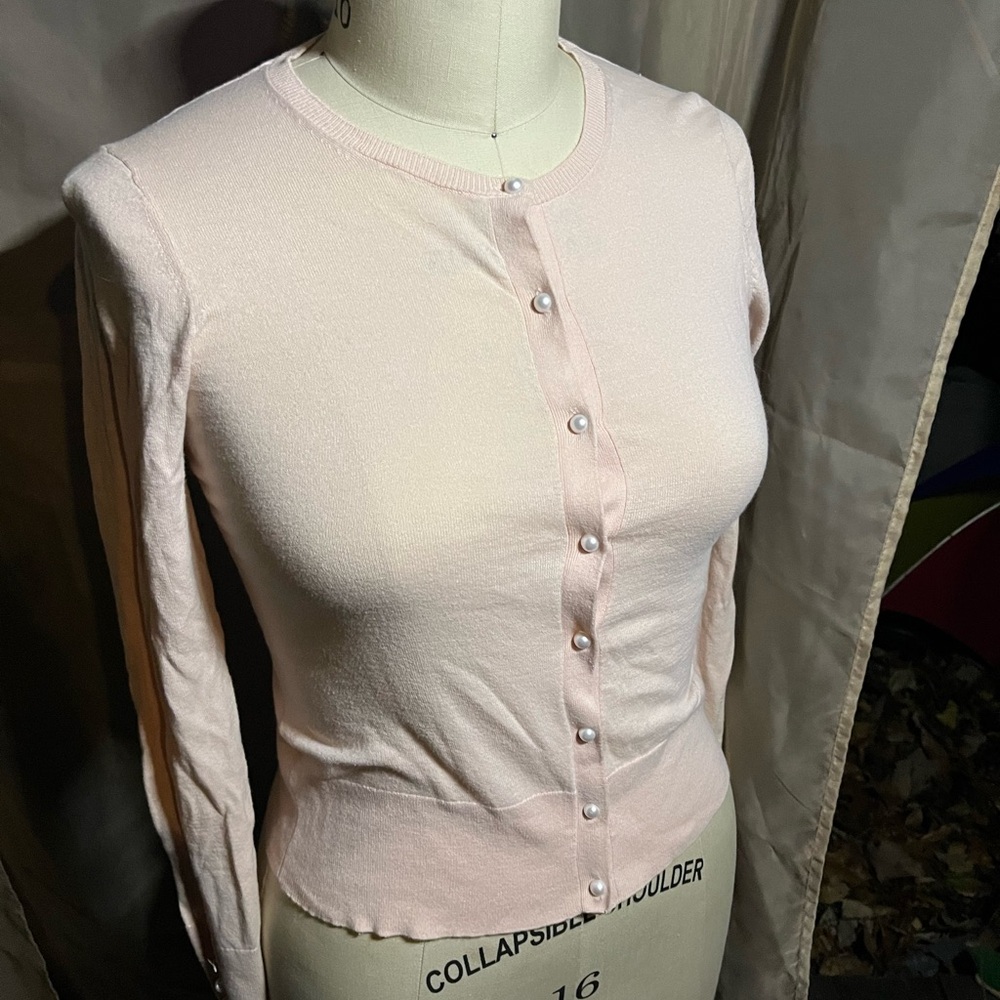 Ann Taylor Light Pink Button-Down Shirt